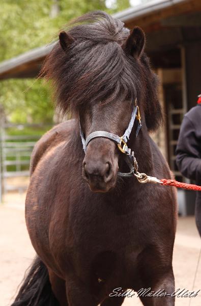 _MG_2325 a.jpg - Njola von Heidmoor